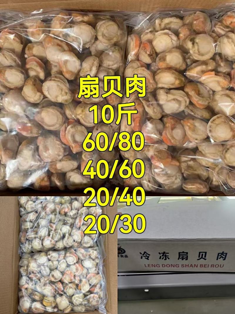 扇贝肉，蛏子肉，生蚝肉，花蛤肉，海虹肉