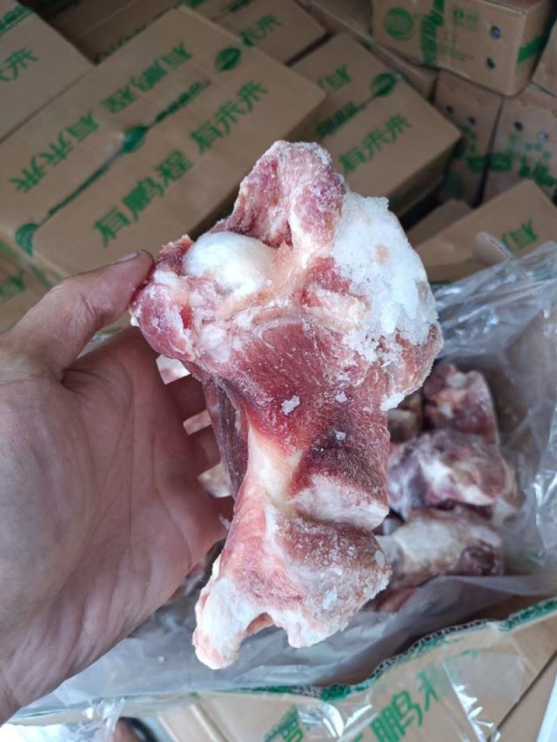 多肉猪腿骨