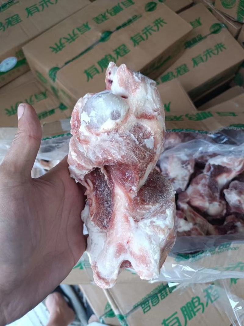 多肉猪腿骨