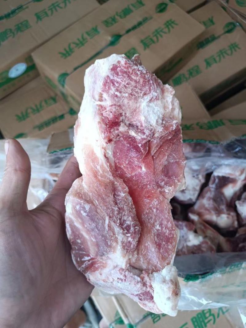 多肉猪腿骨