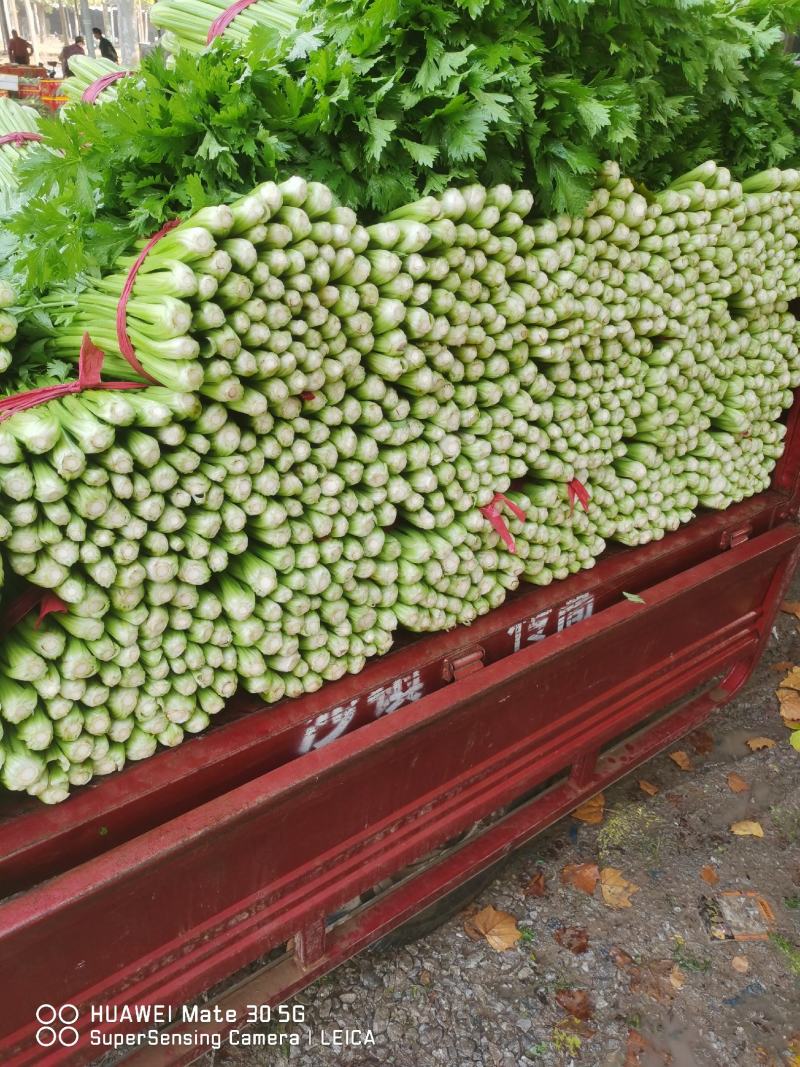 芹菜，西芹