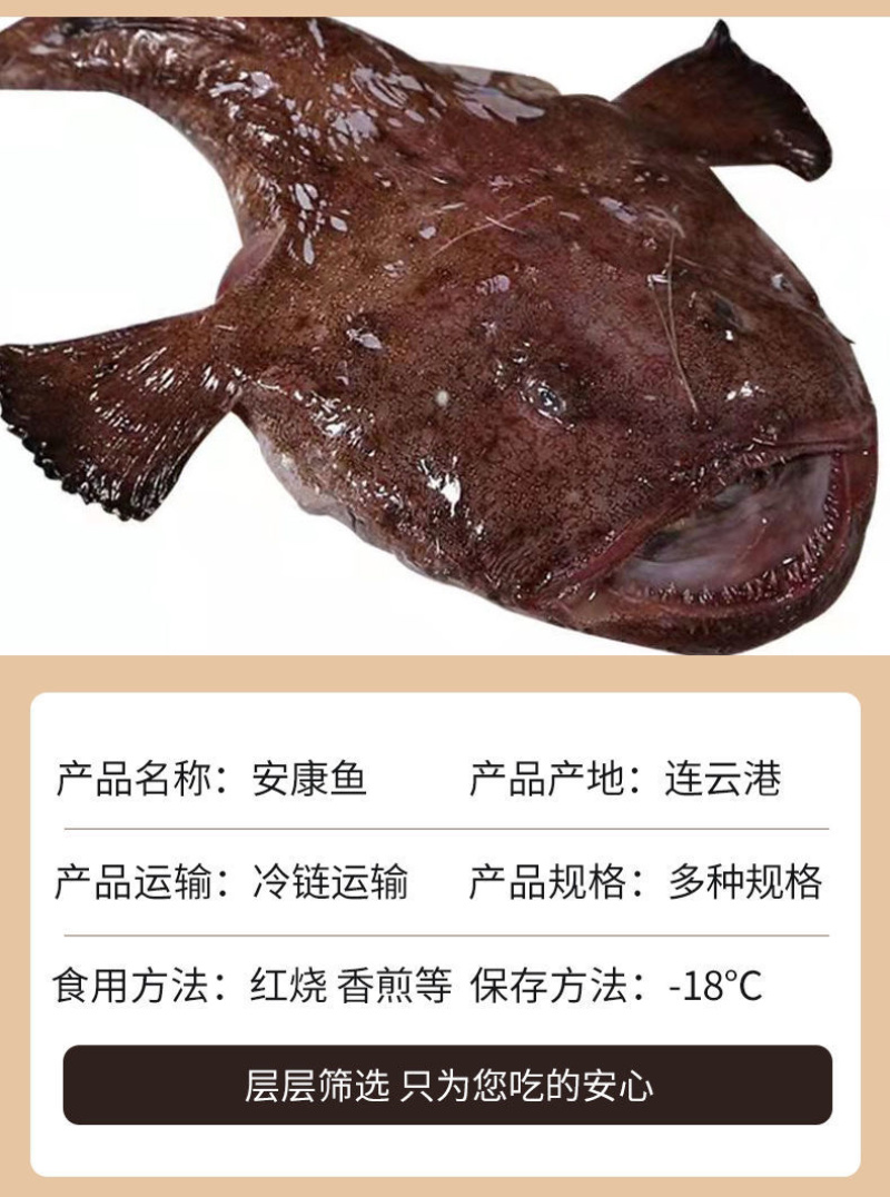 安康鱼