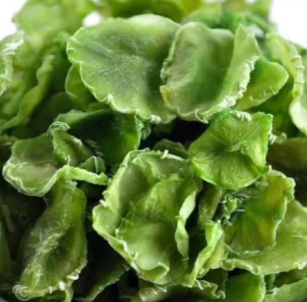 晒制完成的黄瓜干成品展示 黄瓜干成品展示