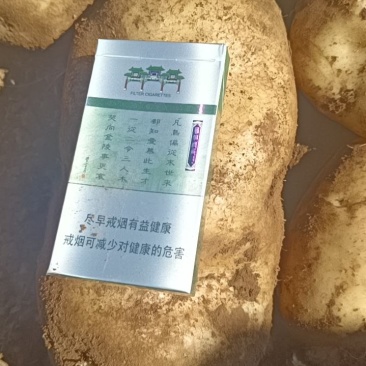 土豆有实力的看过来