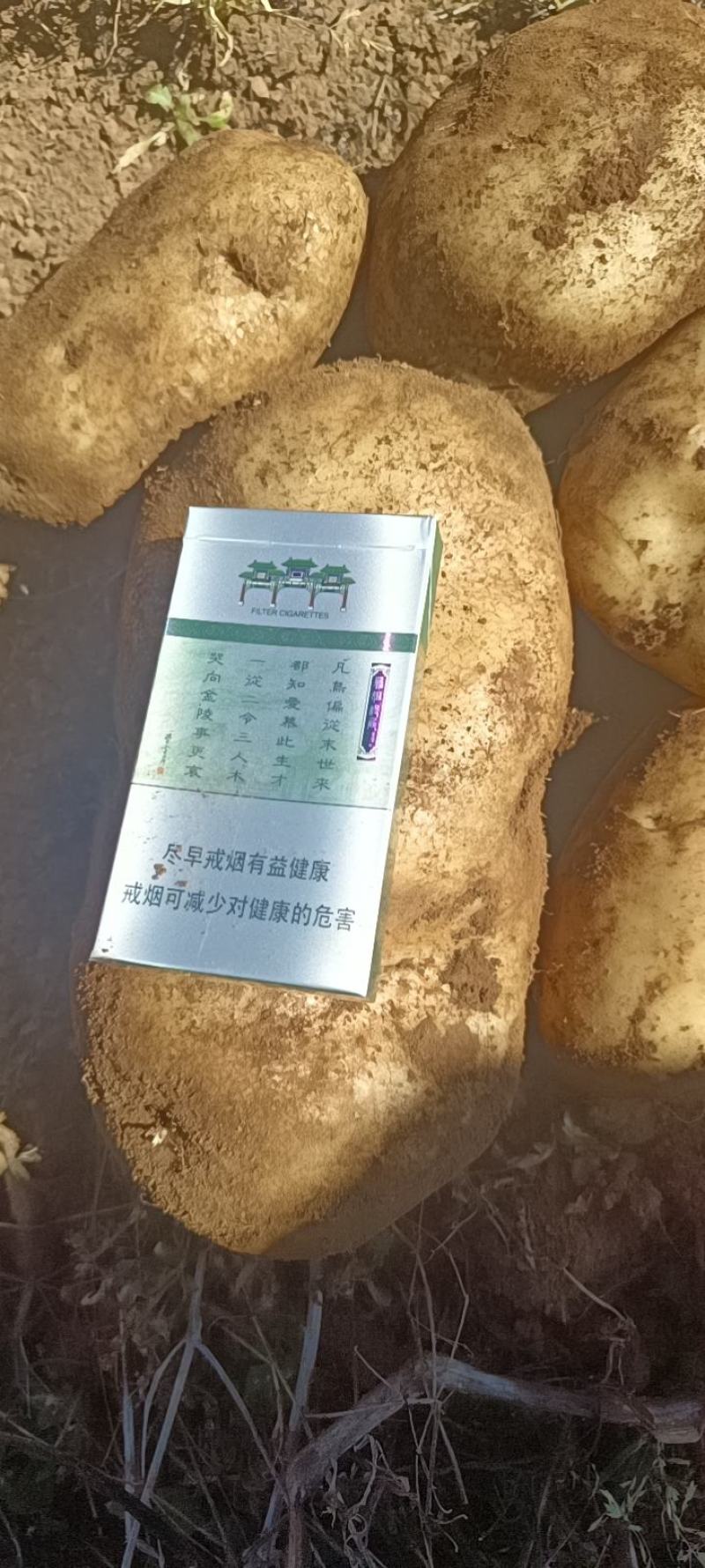 土豆有实力的看过来