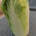 北京三号白菜，杠菜大量有货，适合各大市场，工厂。酸菜厂
