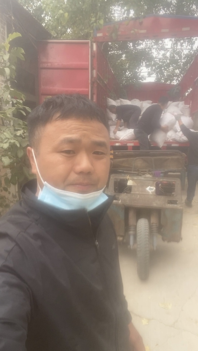 供应现挖白洋姜每天采挖当日发出口感脆嫩爽口