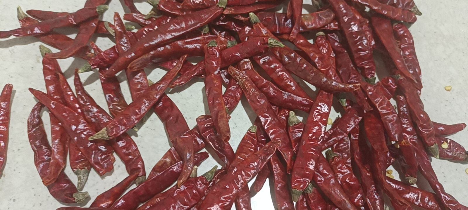 干辣椒与新鲜辣椒籽对比特写