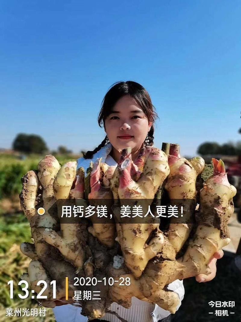 螯合钙，糖醇钙，叶面肥，进口，中量元素水溶肥