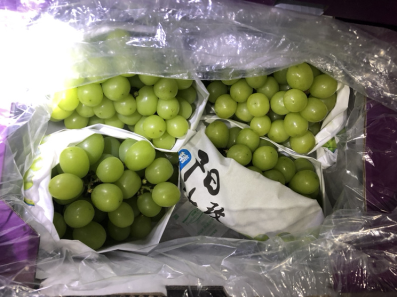 精品阳光玫瑰箱装