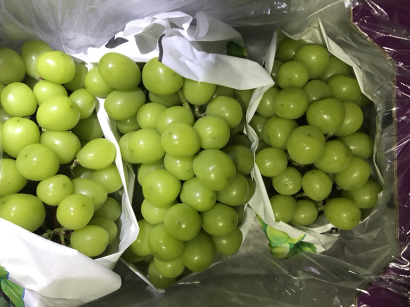 精品阳光玫瑰箱装