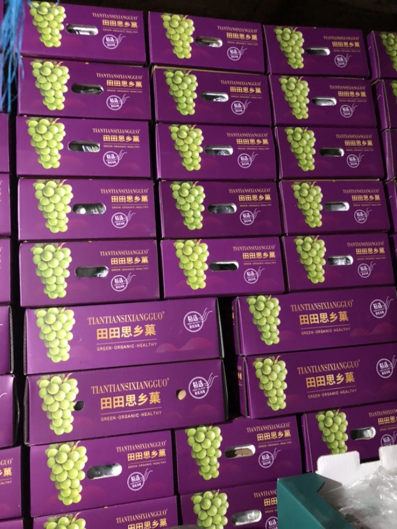 精品阳光玫瑰箱装