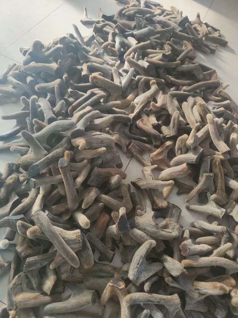 【鹿茸半腊片】“包邮”，鹿茸切片是鹿茸腊片下面那段。