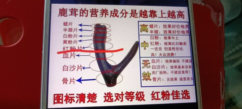 【鹿茸半腊片】“包邮”，鹿茸切片是鹿茸腊片下面那段。