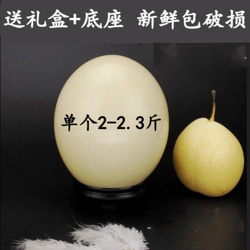 鸵鸟蛋新鲜可食用超特巨大非洲鸵鸟蛋送礼佳品礼盒装包邮