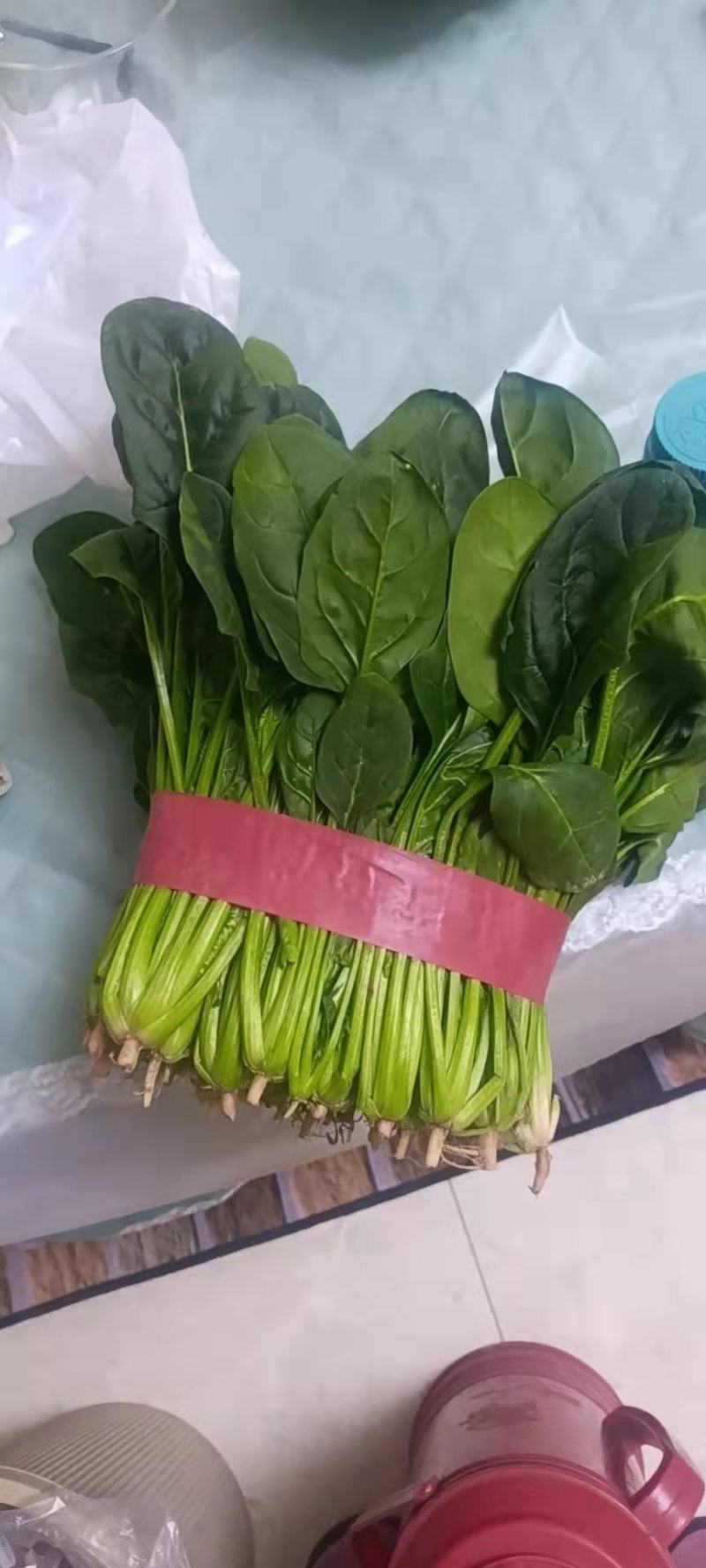 惠民县麻店镇精品大叶菠菜