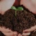 有机育苗基质营养土种植土种菜土种花土黑土厂家直供一手货源