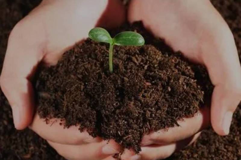有机育苗基质营养土种植土种菜土种花土黑土厂家直供一手货源