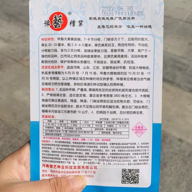 大果黄皮尖椒种子耐低温辣椒豫艺新金富808黄皮椒种子