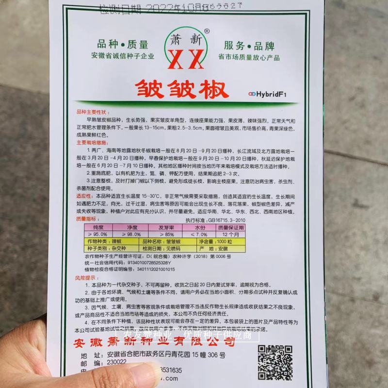 萧新皱皱椒种子杂交一代薄皮辣椒种子小皱皮辣椒籽羊角型