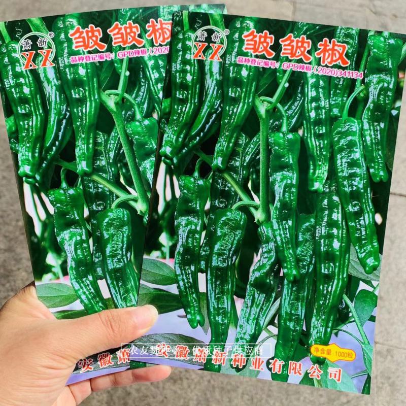 萧新皱皱椒种子杂交一代薄皮辣椒种子小皱皮辣椒籽羊角型