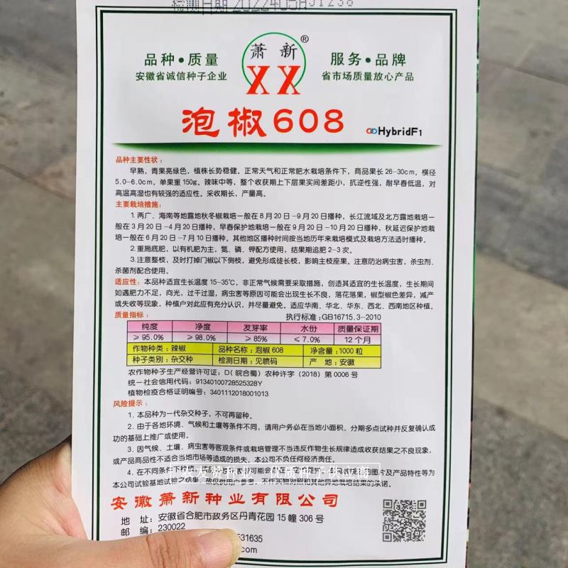 萧新泡椒608辣椒种子高产早熟亮绿色泡椒种子中辣