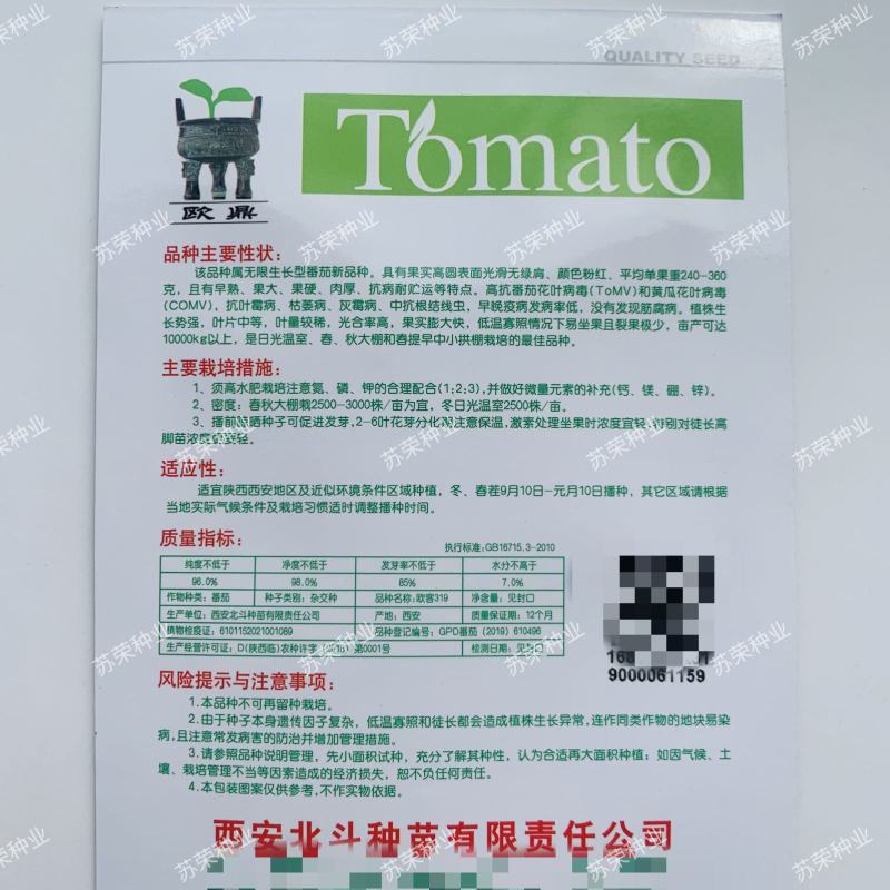 欧客319番茄种早熟大果肉厚抗病无限生长粉红西红柿种籽