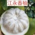 江永香柚大量上市中欢迎老板们过来定购自家果园价格美丽