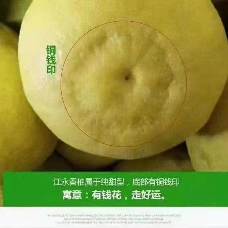 江永香柚大量上市中欢迎老板们过来定购自家果园价格美丽