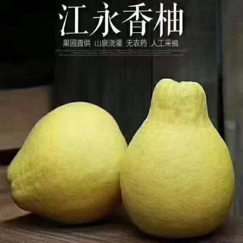 江永香柚大量上市中欢迎老板们过来定购自家果园价格美丽
