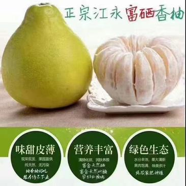 江永香柚大量上市中欢迎老板们过来定购自家果园价格美丽