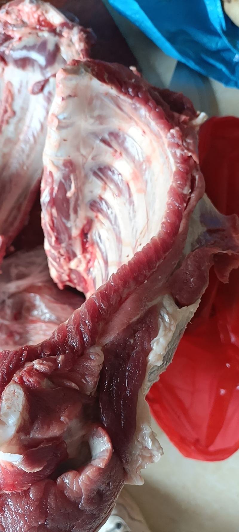精选土猪肉黑山猪，一手货源全国货好吃又不贵，可以吵可以炖