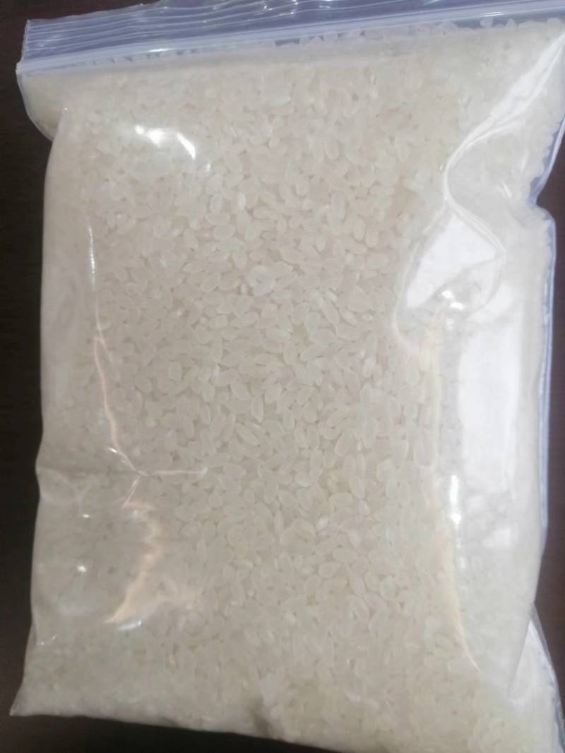 东北秋田小町足斤价格合适需要的请联系我
