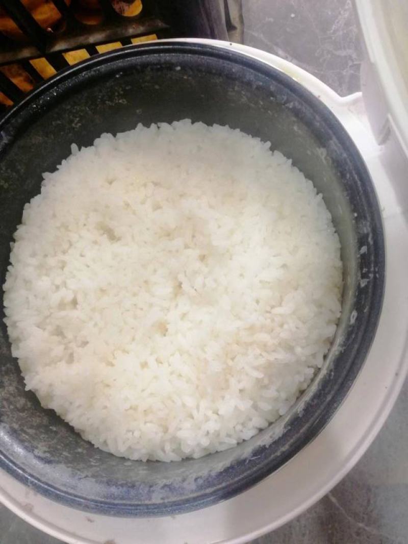 东北秋田小町足斤价格合适需要的请联系我