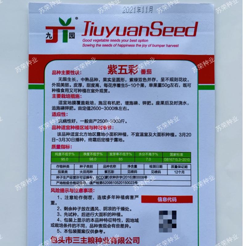 紫五彩番茄种子紫色番茄籽西红柿子紫皮球花皮四季蔬菜瓜果种