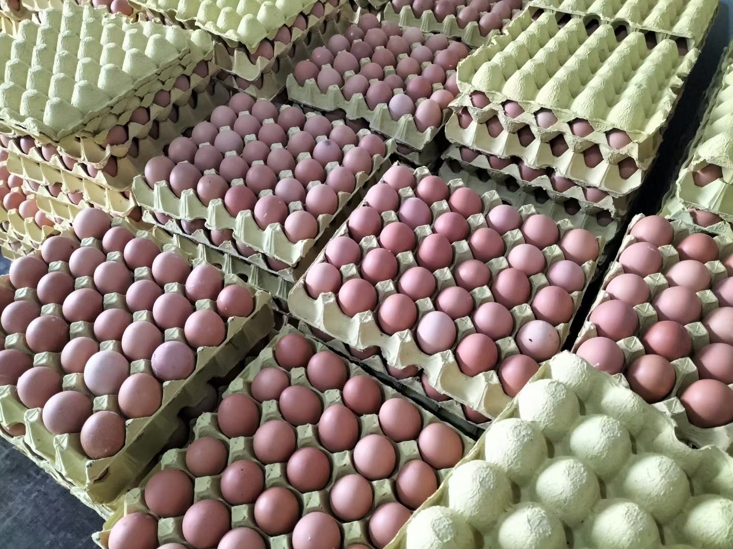 古代节日中红鸡蛋的使用
