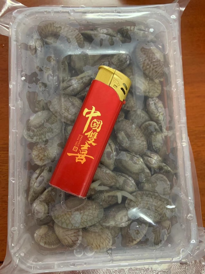 北海花甲蛤蜊花蛤船上直供一手货源可生猛可急冻