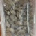 北海花甲蛤蜊花蛤船上直供一手货源可生猛可急冻