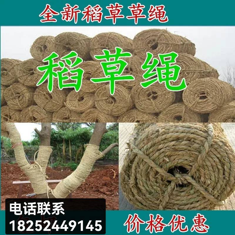 稻草绳防寒防冻保暖捆绑绳保湿树木移栽打土球包扎包装编织草