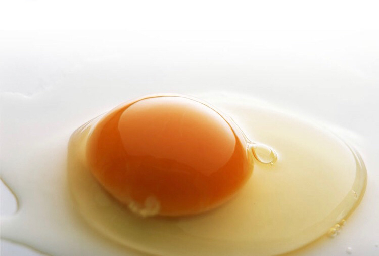 圆葱和鸡蛋的营养成分对比图