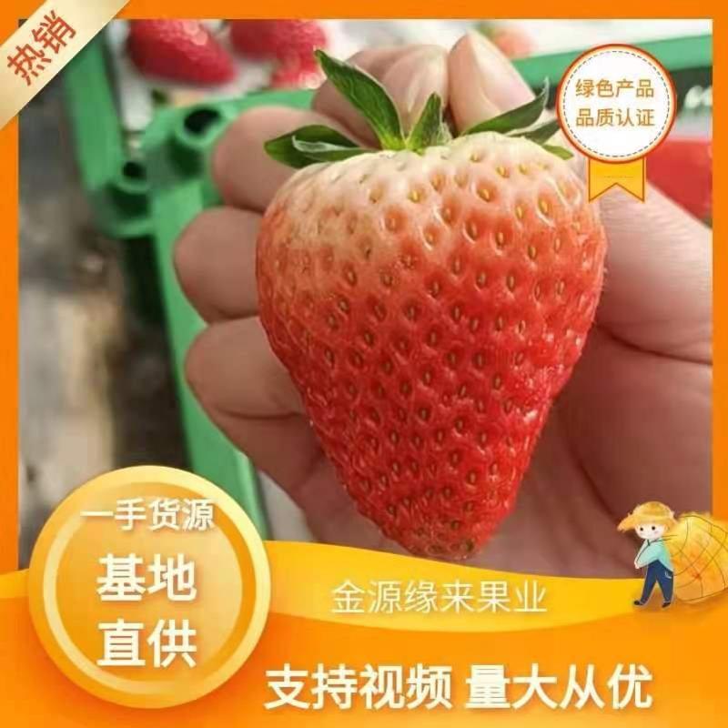 精品丹东九九草莓电商平台直供