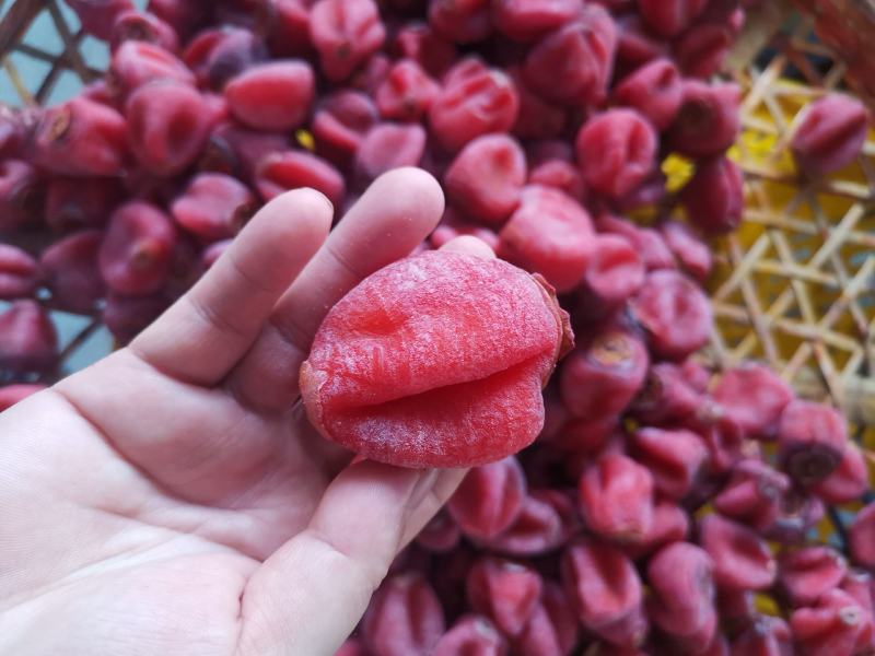 广西吊柿饼平乐恭城柿子饼精装桂林柿饼广西柿饼水晶柿饼糖心