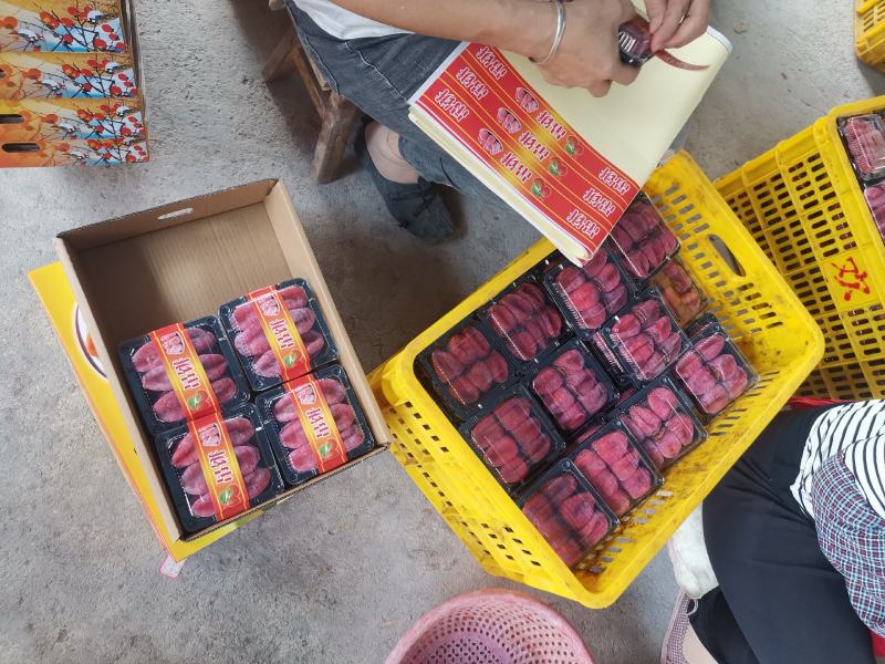 广西吊柿饼平乐恭城柿子饼精装桂林柿饼广西柿饼水晶柿饼糖心