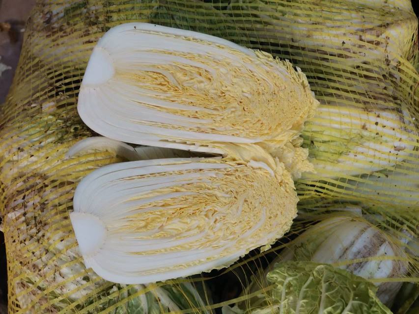 图示展示娃娃菜的中医性味归经,包括甘、微寒属性及其归肺、胃、大肠经的特点 娃娃菜的中医性味归经图解