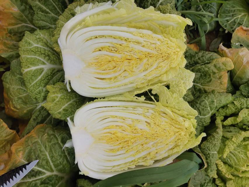 金品58娃娃菜特写