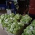 冬季大白菜山东白菜全国发货支持视频看货