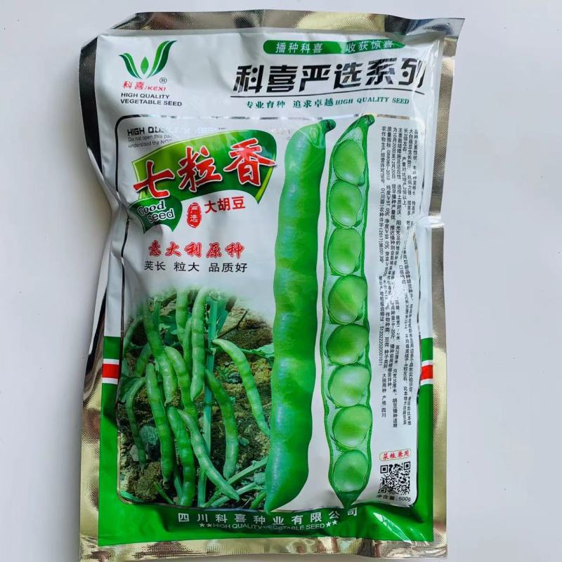 七粒香大蚕豆种子荚长大粒型胡豆种籽抗病高产口感好蚕豆种子