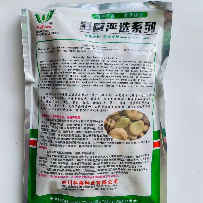 七粒香大蚕豆种子荚长大粒型胡豆种籽抗病高产口感好蚕豆种子