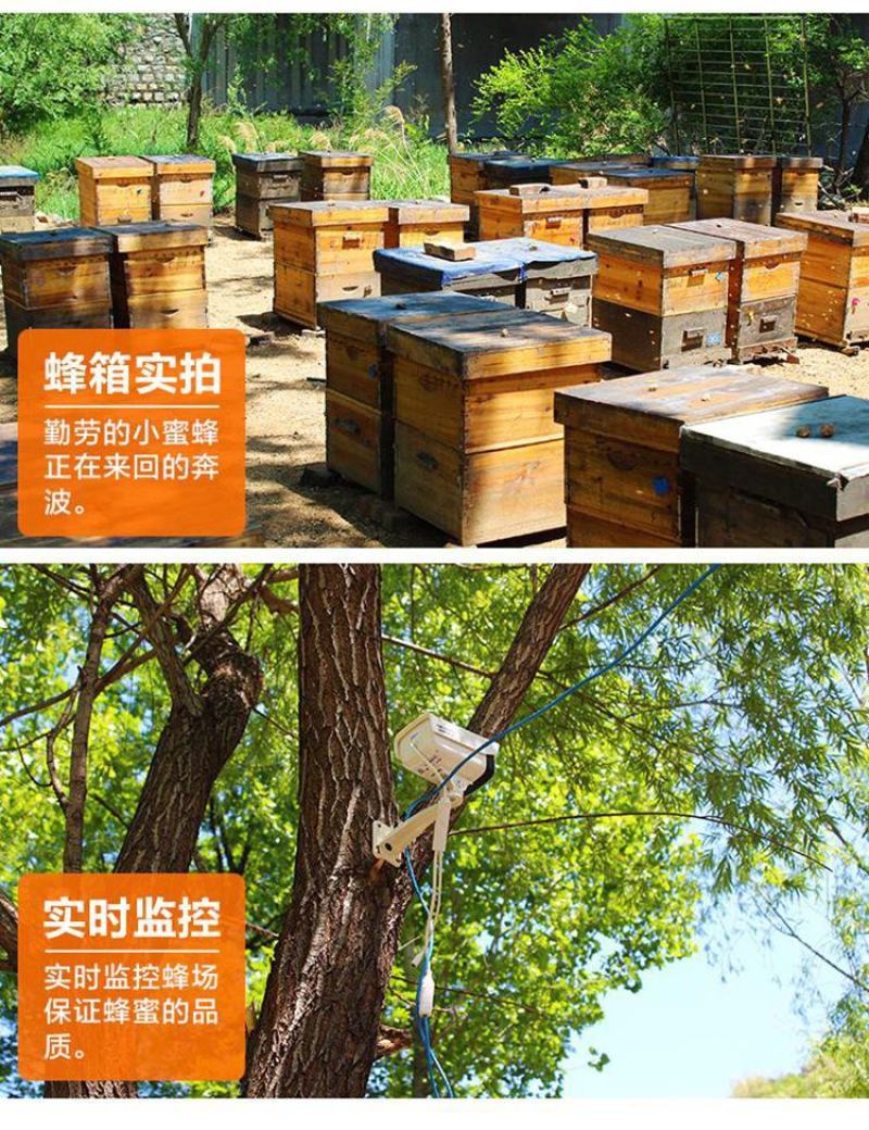 500克瓶装洋槐蜜，口感纯正，浓度高，一瓶起发