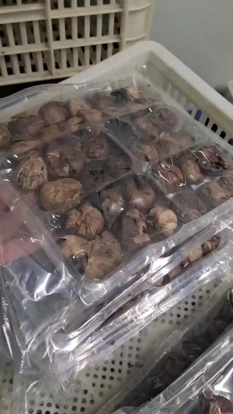 金乡黑蒜裂皮黑蒜厂家批发处理尾货活动价格